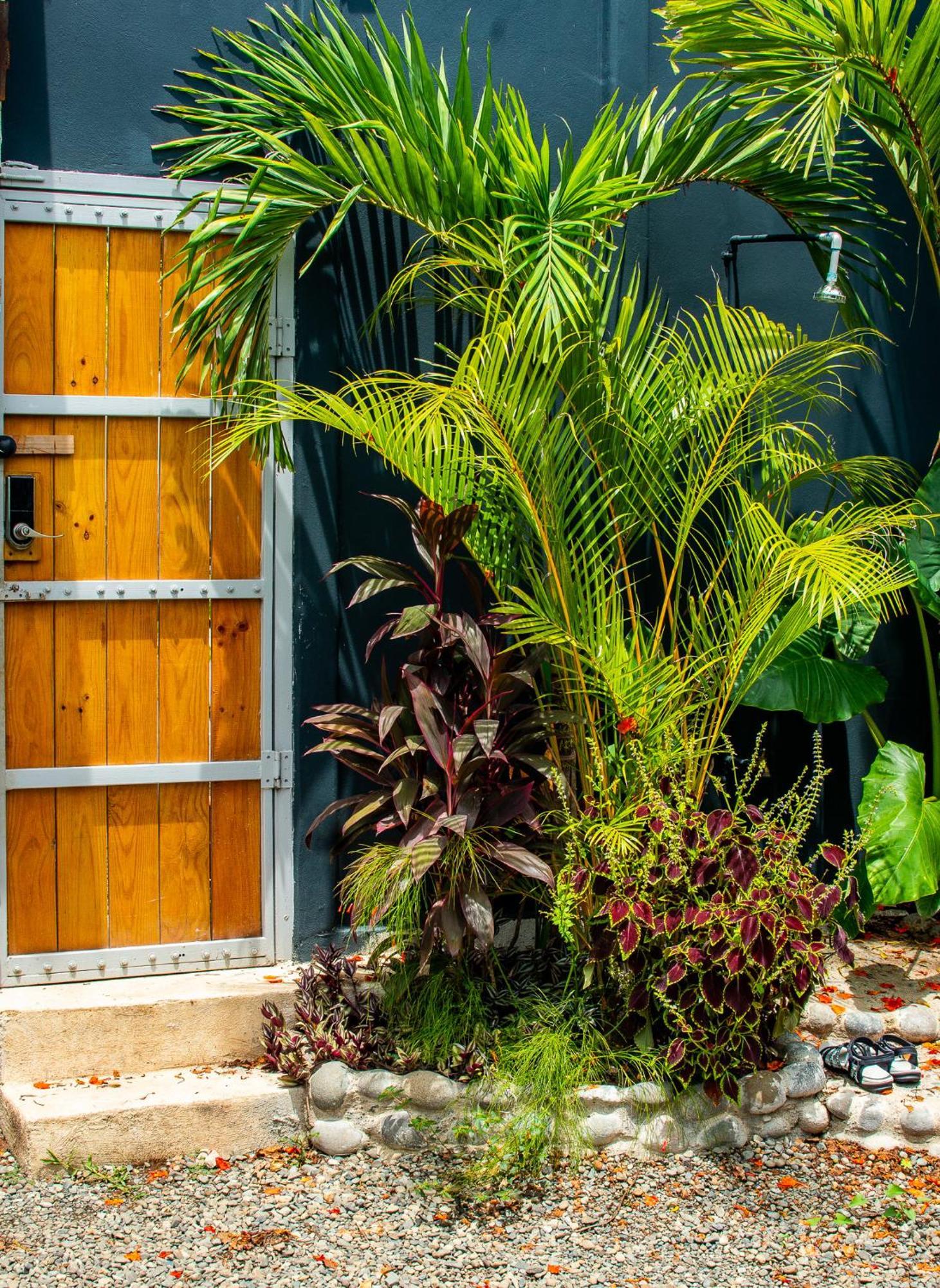 Mecca Hotel Puerto Viejo de Talamanca Bagian luar foto