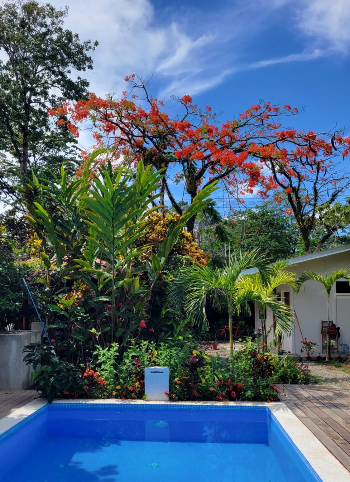 Mecca Hotel Puerto Viejo de Talamanca Bagian luar foto