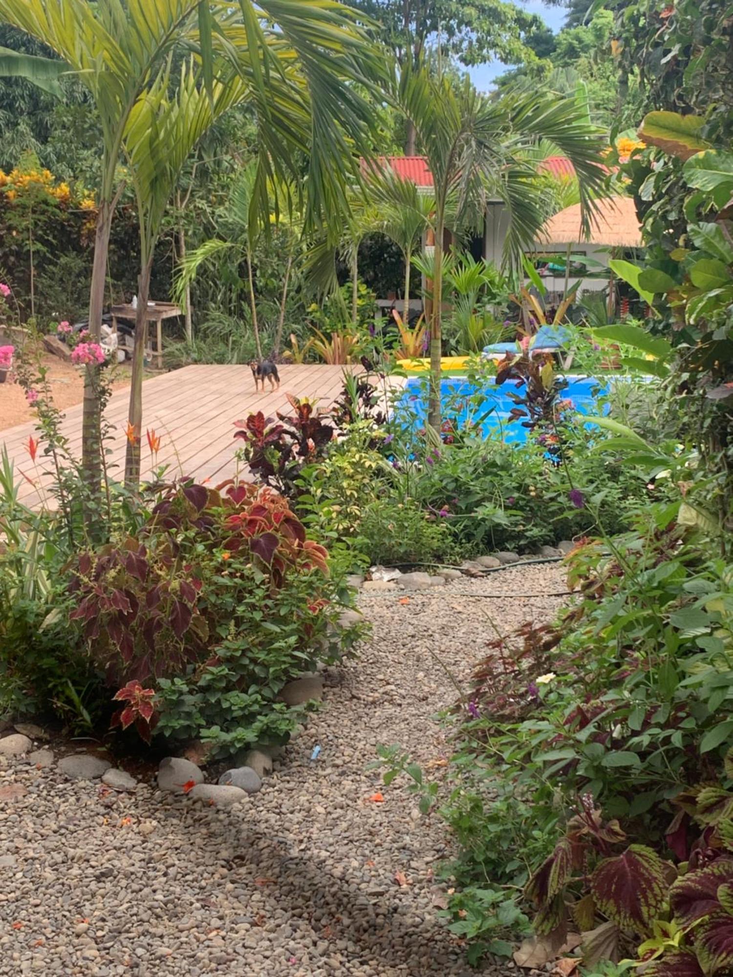 Mecca Hotel Puerto Viejo de Talamanca Bagian luar foto